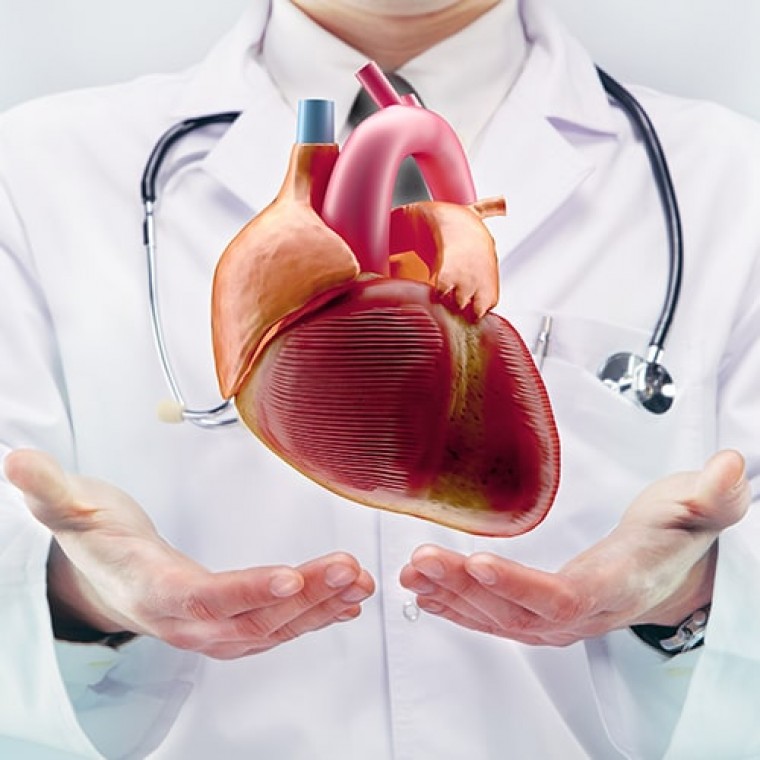 Особенности циркадной организации нейро-вегетативного обеспечения сердечно-сосудистой деятельности у пациентов с хронической сердечной недостаточностью