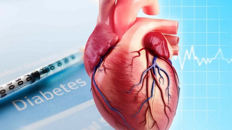 Ретроспективный анализ возможности прогнозирования ишемической болезни сердца на основании анализа ряда традиционных факторов сердечно-сосудистого риска