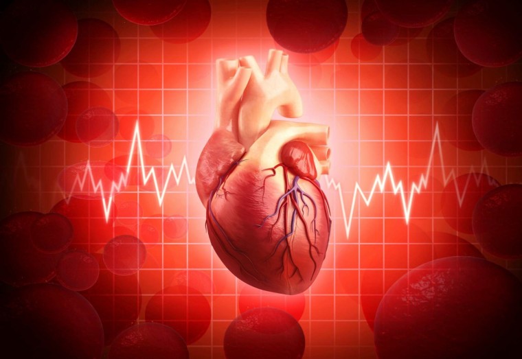 Диагностика и тактика ведения пациентов со стабильной ишемической болезнью сердца на современном этапе
