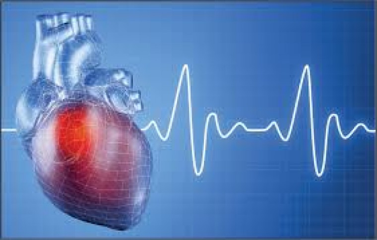 Европейский конгресс кардиологов 2009: результаты крупных клинических исследований