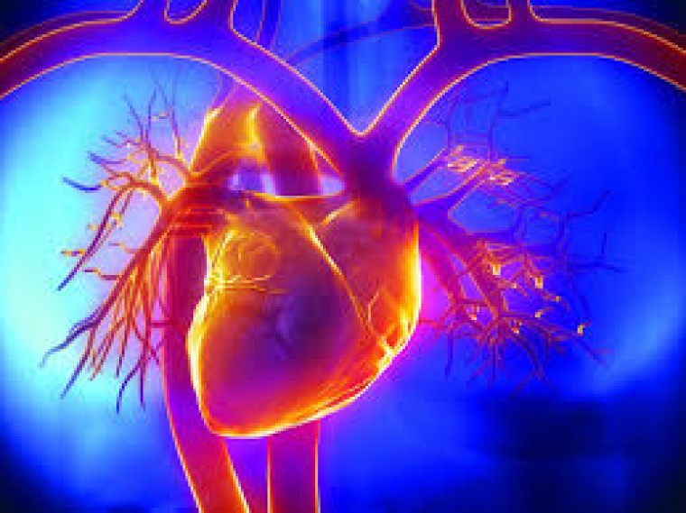 Новые возможности в определении эффективности фармакотерапии и прогноза кардиоваскулярных осложнений при хронической сердечной недостаточности
