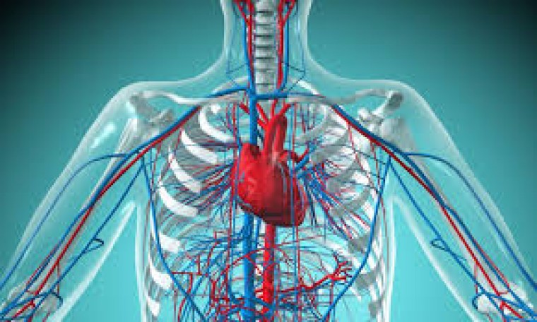 Состояние сердечно-сосудистой системы и показатели гемостаза у пациентов с гипергликемией на фоне инфаркта миокарда