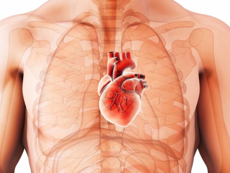 Обратимая дилятация полостей сердца как маркер новых возможностей в терапии воспалительной и дилятационной кардиомиопатии